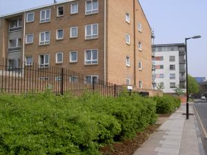 Street view of property
